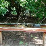 photo 2021-07-22 09-06-30