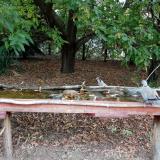 photo 2021-09-29 09-59-45