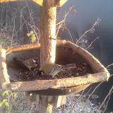 photo 2019-12-28 15-15-42