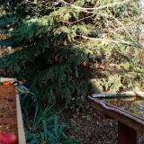 photo 2021-11-12 14-09-48