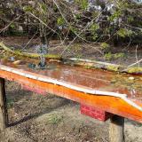 photo 2021-04-08 16-28-11