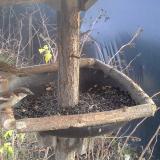 photo 2019-12-25 14-26-01