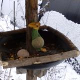 photo 2019-01-20 10-46-06