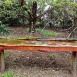 photo 2021-04-15 12-12-05