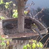 photo 2019-12-14 10-30-08