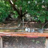 photo 2021-09-07 15-02-49