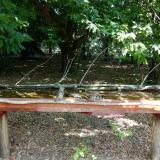 photo 2021-07-05 10-41-46