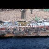 photo 2021-11-30 14-13-56