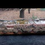 photo 2021-11-28 12-40-27