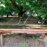 photo 2021-07-04 16-41-32