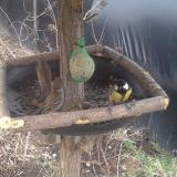 photo 2019-02-10 14-00-08