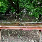 photo 2021-05-15 13-52-49