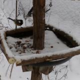 photo 2019-01-08 14-41-35