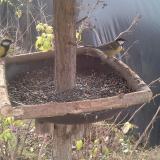 photo 2019-12-19 10-17-56