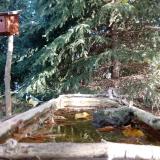 photo 2023-10-16 09-46-30