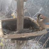 photo 2019-12-30 07-39-47