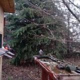 photo 2021-12-16 07-49-27