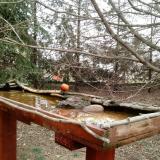 photo 2022-03-17 09-41-53