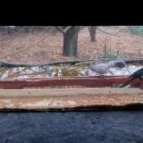 photo 2021-11-22 09-37-08