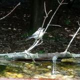 photo 2021-08-09 12-21-58 cinke