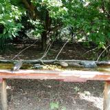 photo 2021-08-03 09-03-57