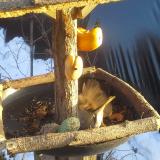 photo 2019-01-29 15-42-22