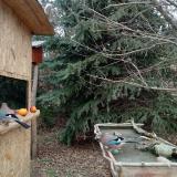 photo 2021-12-22 12-58-32