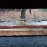 photo 2021-11-28 15-17-31