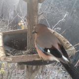 photo 2019-12-30 07-40-15