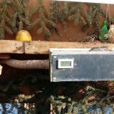 photo 2021-02-12 12-31-57