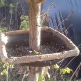 photo 2019-12-16 14-12-08