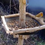 photo 2019-01-03 10-51-09