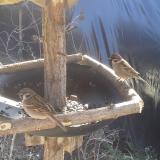 photo 2019-02-18 11-41-56