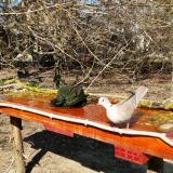 photo 2021-03-21 13-45-53