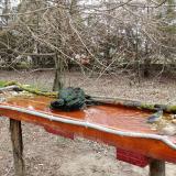 photo 2021-03-24 08-46-39