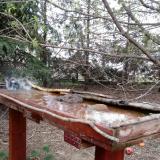 photo 2022-03-31 08-16-39