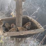 photo 2019-12-30 07-42-11