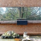 photo 2023-10-26 14-25-26