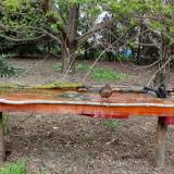 photo 2021-04-17 16-49-23