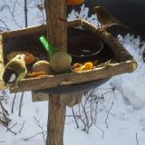 photo 2019-01-26 09-20-08