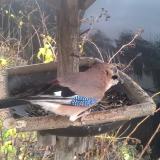 photo 2019-12-23 11-58-56