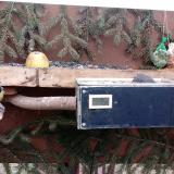 photo 2021-02-07 08-33-08