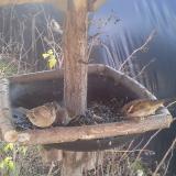 photo 2019-12-26 11-54-02