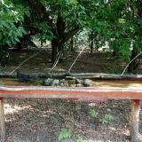 photo 2021-07-13 08-14-07