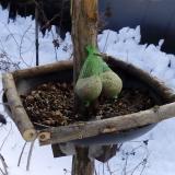 photo 2019-01-09 12-15-32