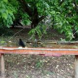 photo 2021-05-24 11-26-32