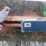 photo 2021-03-03 07-03-27