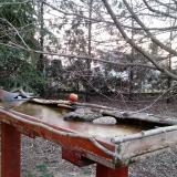 photo 2022-03-05 06-50-13