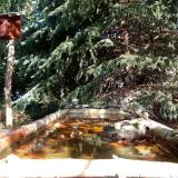 photo 2023-10-16 11-45-56