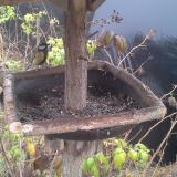 photo 2019-12-12 13-28-10